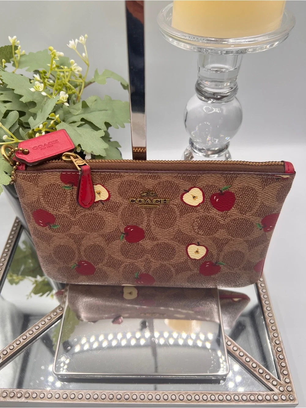 Coach Signature Apple Print Brown Pouch